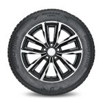 Шины BRIDGESTONE BLIZZAK LM005 255/40 R21 102V XL — изображение 6