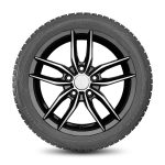 Шины IKON (NOKIAN TYRES) CHARACTER AQUA SUV 235/55 R17 103V XL — изображение 7