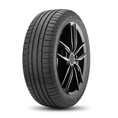 Шины IKON (NOKIAN TYRES) CHARACTER AQUA SUV 235/55 R17 103V XL