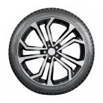 Шины NOKIAN TYRES HAKKAPELIITTA 10P SUV 225/60 R17 103T XL — изображение 4